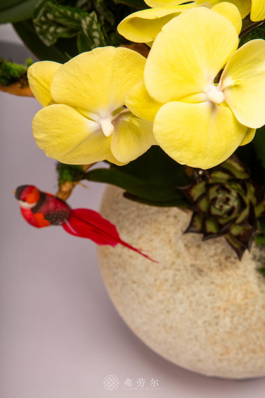 马上春意闹 商品图3