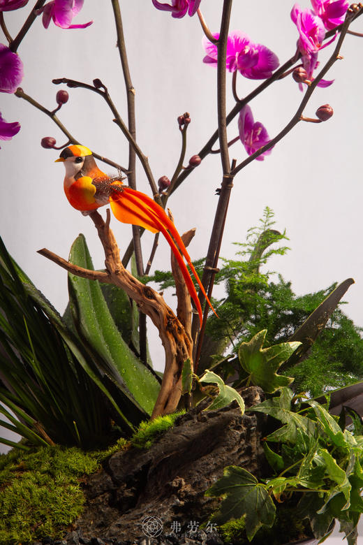 马跃山河新 商品图3