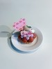 love粉莓塔·mini奶糕 商品缩略图0