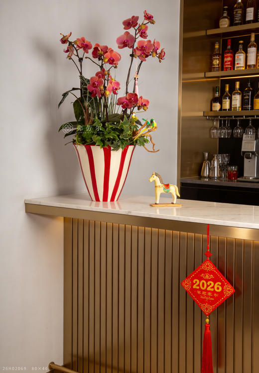 马啸日月明 商品图0