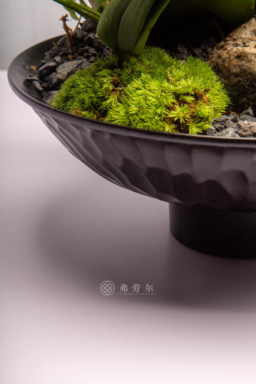 新春添马力 商品图4