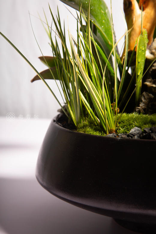 马拓锦绣程 商品图4