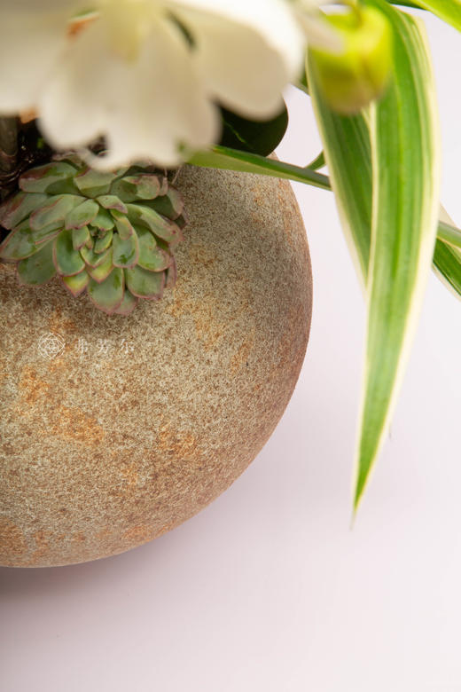 马上福满门 商品图4