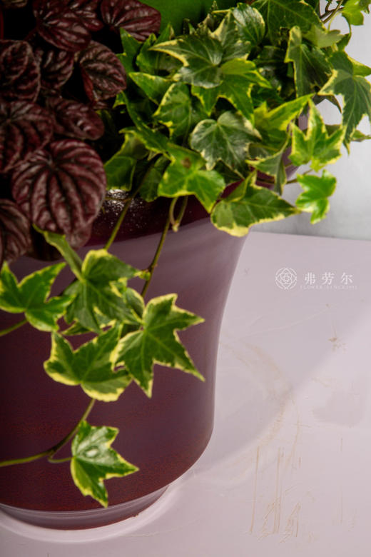 马驮五福来 商品图4