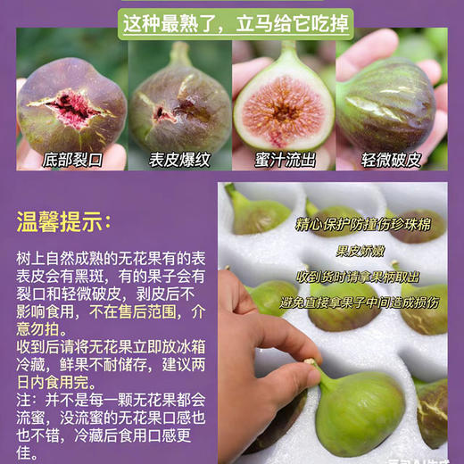 18°果缘®️「花香蜜」空运无花果 整件2层 16~20粒 商品图4