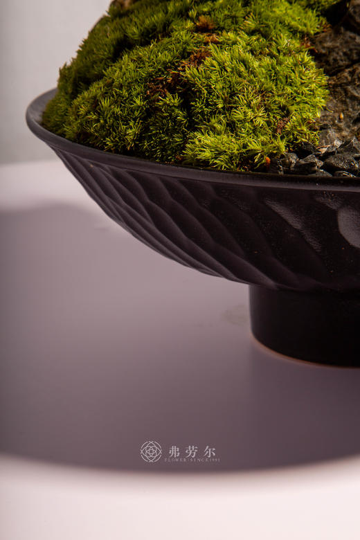 马跃山河新 商品图5