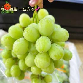 【香甜酥脆】澳洲甜地球青提 剪枝洗净 约250g-500g