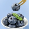 新鲜水果 L25花香蓝莓礼盒18+ 脆甜可口 9小盒/箱 商品缩略图1