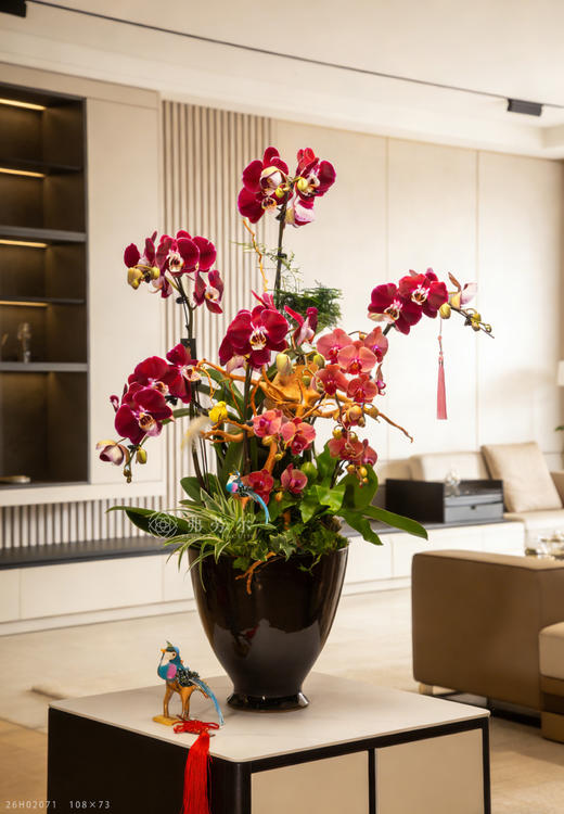 马年好运长 商品图0