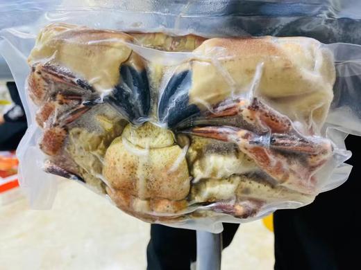 面包蟹 商品图0