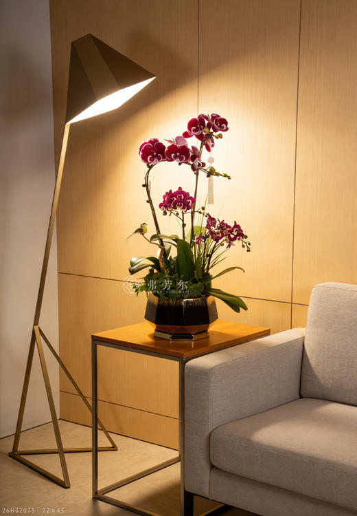 马上财运到 商品图1