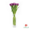 【毛边郁金香】 凯特 10枝一扎 商品缩略图1