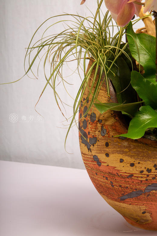 马上笑颜开 商品图4