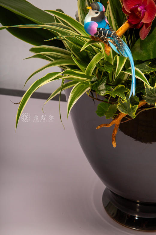 马年好运长 商品图3