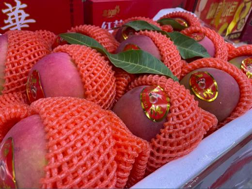 澳芒一箱 商品图2