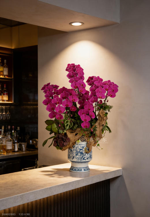 金马叩吉扉 商品图1