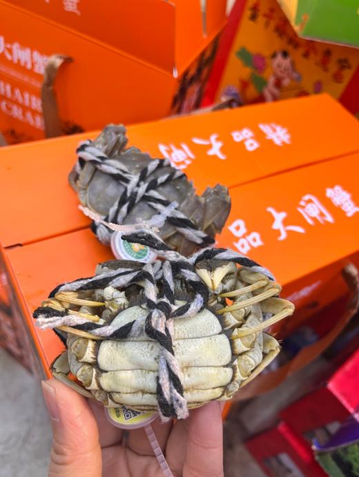 江苏大闸蟹礼盒 商品图5