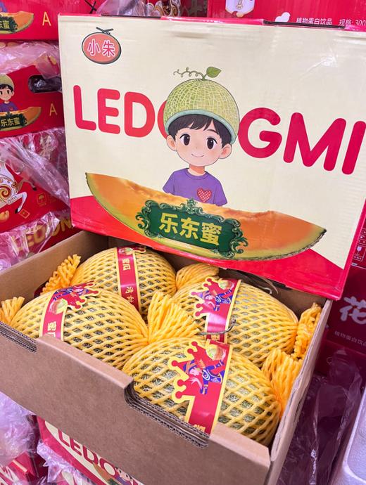 乐东蜜瓜一箱 商品图0