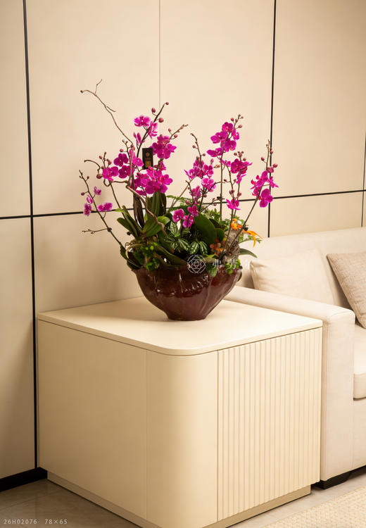 一马当先瑞 商品图1