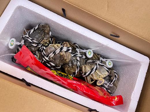 江苏大闸蟹礼盒 商品图3