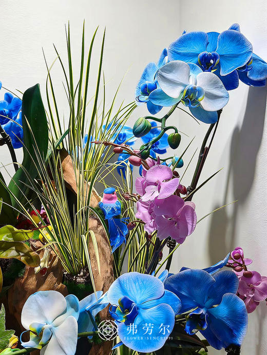 旗开得胜 商品图1