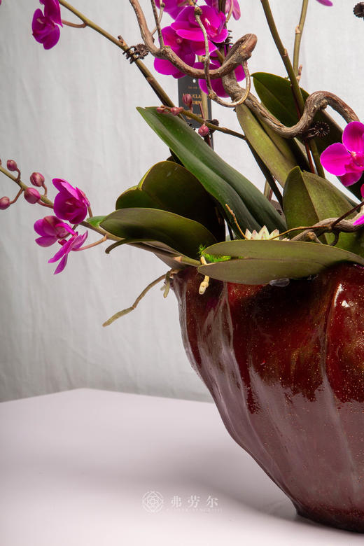 骏马恋春风 商品图4