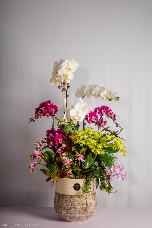 立马见真章 商品图0