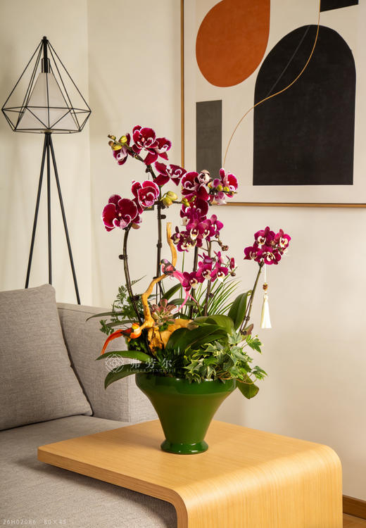 良驹载誉归 商品图1