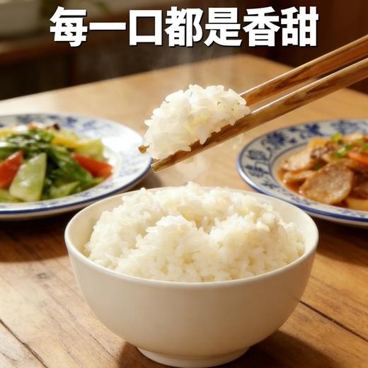 金龙鱼方正长粒香米 5kg/袋 商品图4