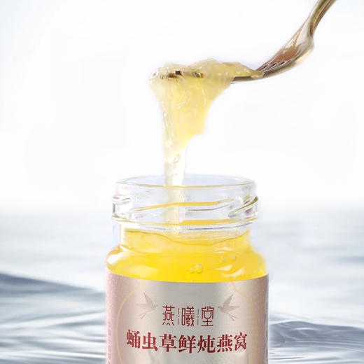 750g燕曦堂蛹虫草鲜炖燕窝礼盒 料多浓稠 莹润透亮 商品图2