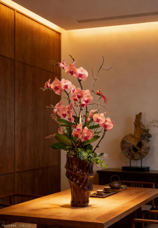 走马观花年 商品图1