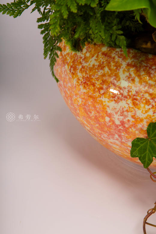 金马叩吉扉 商品图3