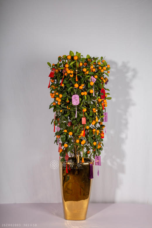 马上有吉 商品图0