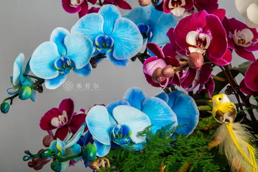 良驹载誉归 商品图3