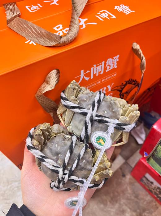 江苏大闸蟹礼盒 商品图4