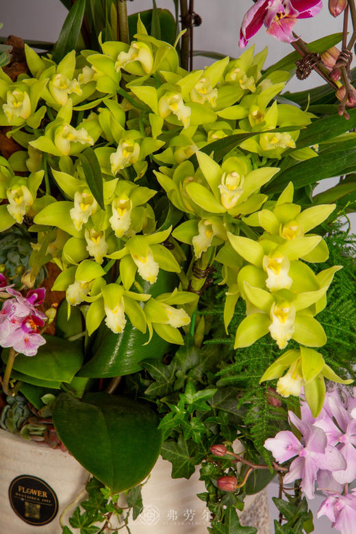 立马见真章 商品图1