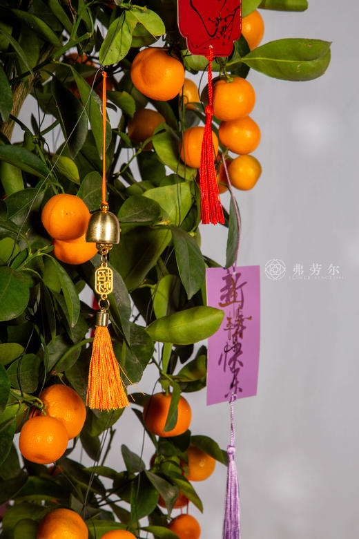 马上有吉 商品图1