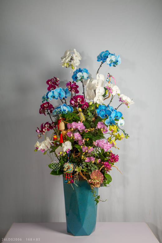 良驹载誉归 商品图0