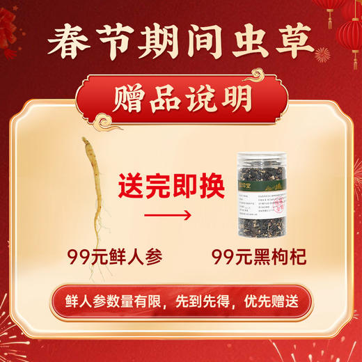 国坤堂 西藏那曲虫草贵系礼盒 商品图7