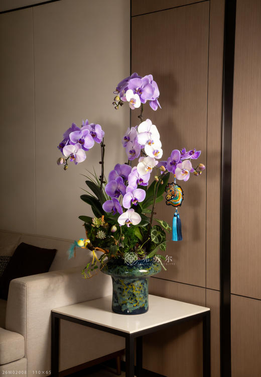 春风得意马 商品图0