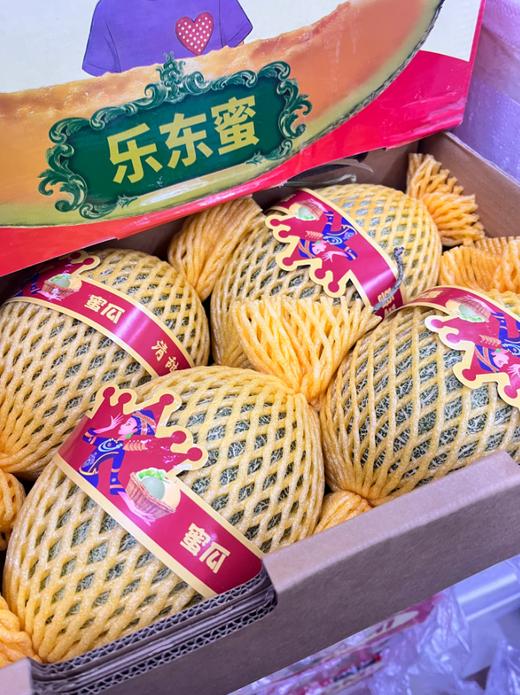 乐东蜜瓜一箱 商品图2