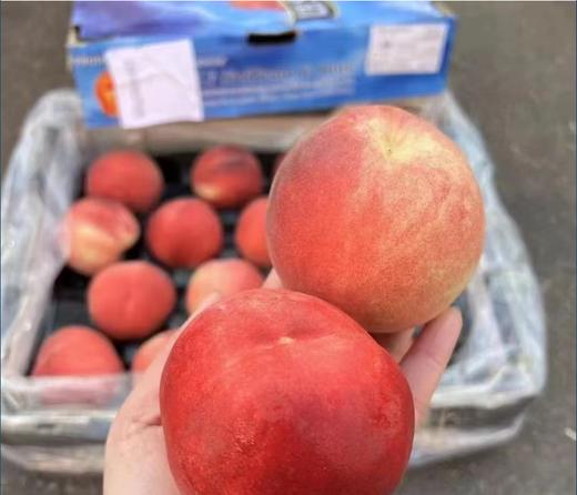 澳洲水蜜桃礼盒 商品图1
