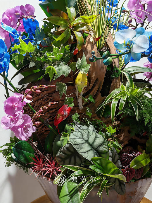 旗开得胜 商品图2