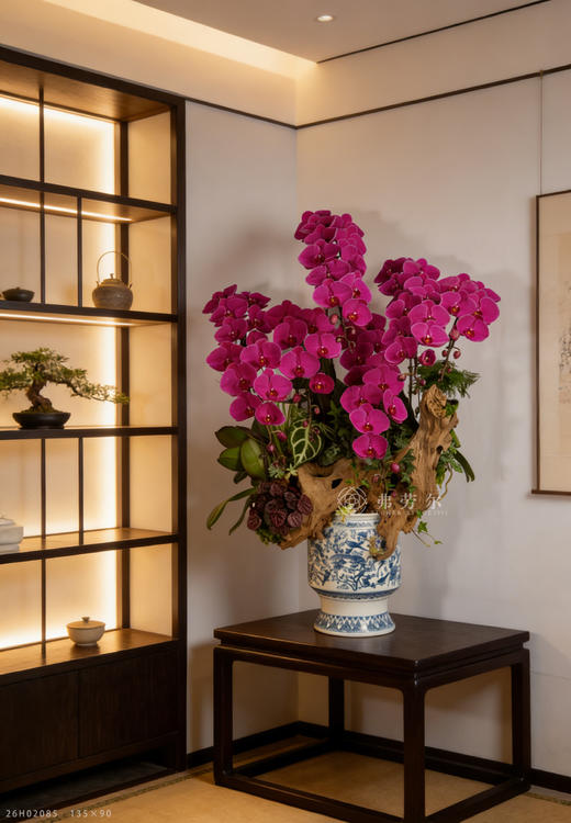 金马叩吉扉 商品图0