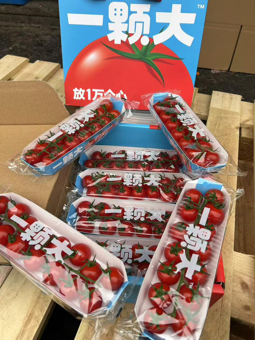 一颗大番茄串千禧 甜 商品图2