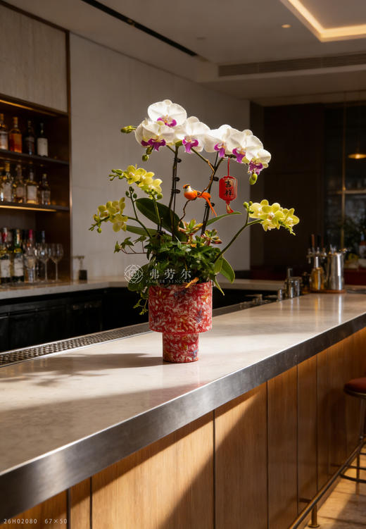 老马识新途 商品图1