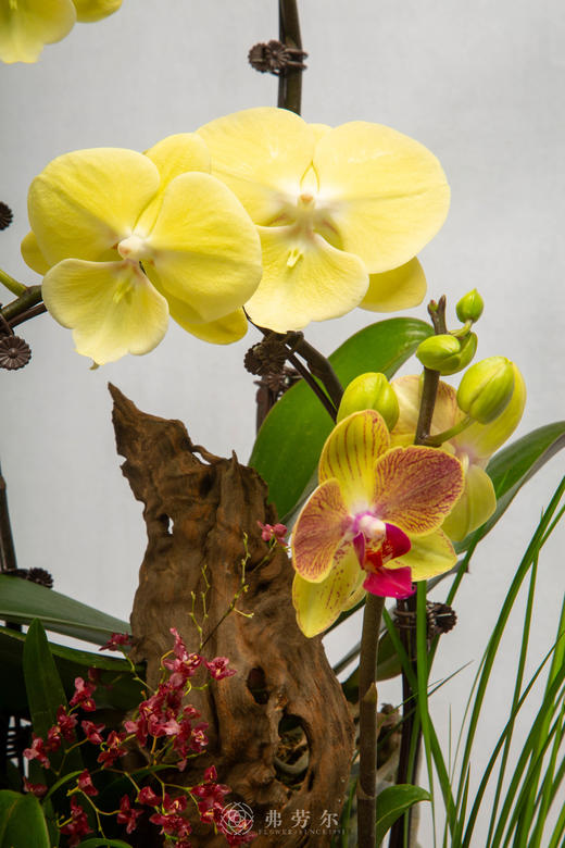 瑞雪兆丰马 商品图2