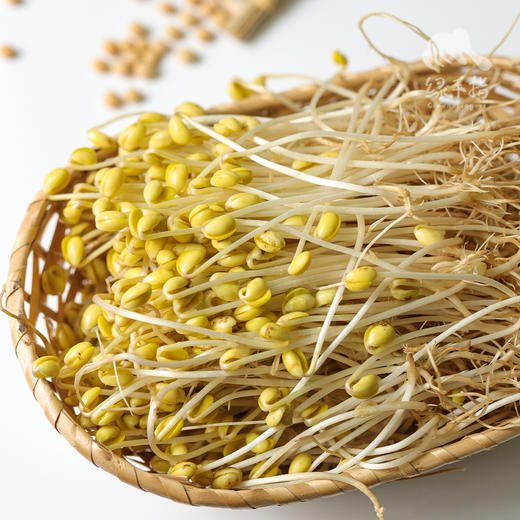 生态绿豆芽 | 绿家自产* Eco- mung bean sprouts | Self-production 商品图2