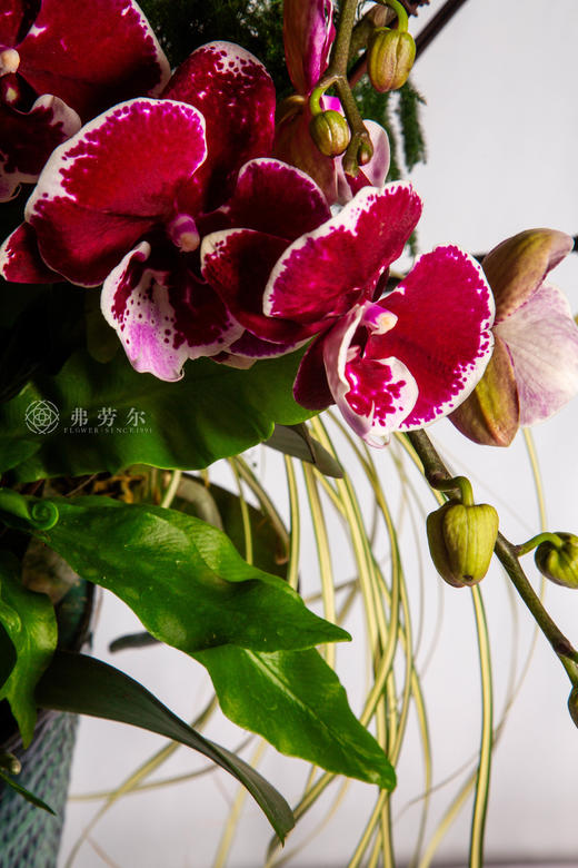 马年乐无疆 商品图4