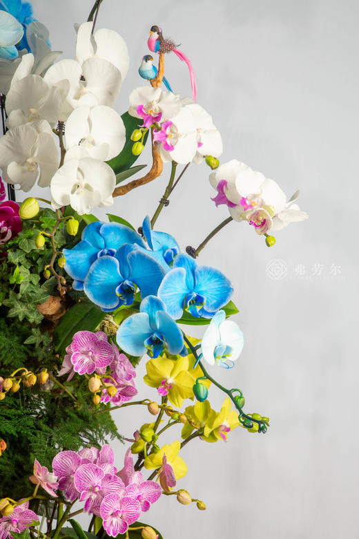 良驹载誉归 商品图1